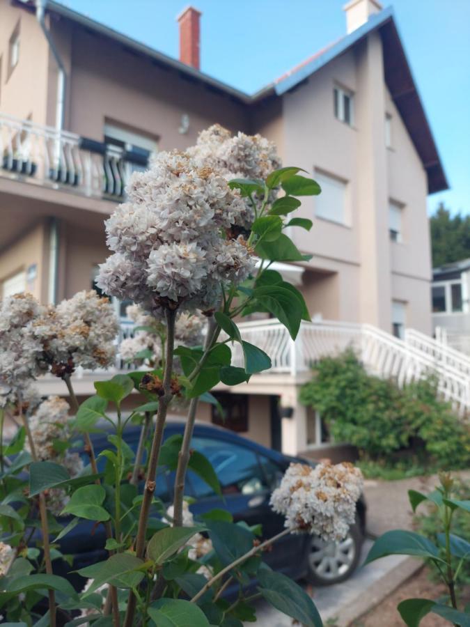 M Apartments Soko Banja Exterior foto